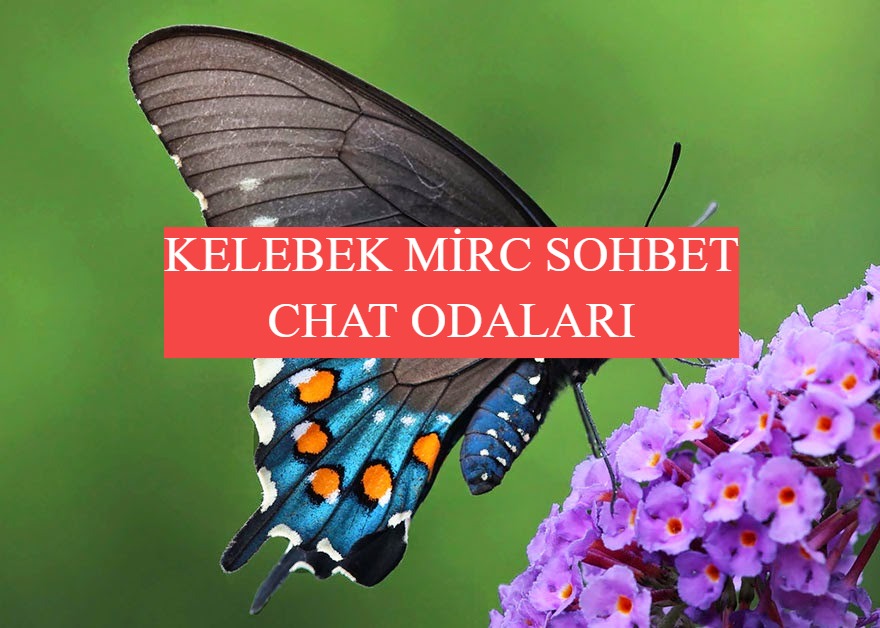 Kelebek Sohbet